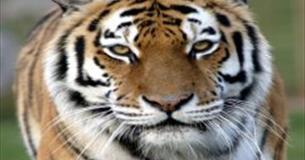 Marwell Zoological Park