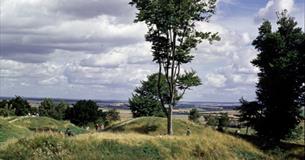 Danebury Ring