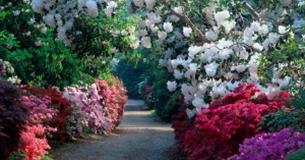 Exbury Gardens and Steam Railway