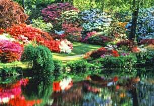 Exbury Garden