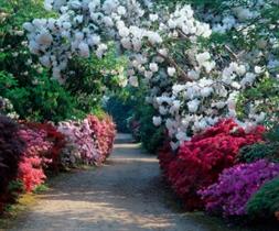 Exbury Gardens and Steam Railway