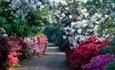 Exbury Gardens and Steam Railway