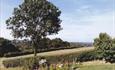 View from New Barn Cottage
