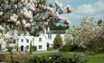 Magnolias framing Jermyns House