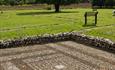 Rockbourne Roman Villa mosaic & tree