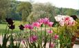 Gilbert White's garden