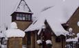 In the snow