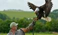 The Hawk Conservancy, total trust