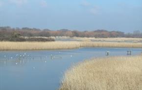 Titchfield Haven National Nature Reserve