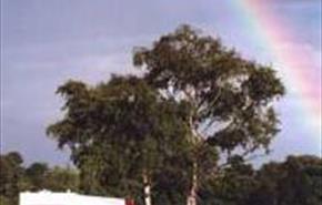 Thumbnail for Harrow Wood Farm Caravan Park