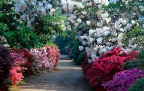 Exbury Gardens and Steam Railway
