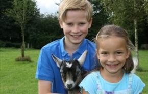 Longdown Activity Farm