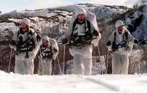 Thumbnail for Arctic Warriors