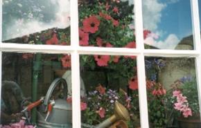 Alton shop window