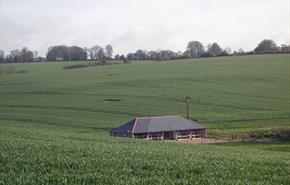 Dines Barn