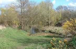 Brickfields Country Park