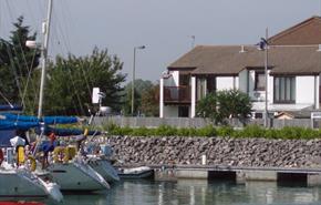 DOLPHINS OVERLOOKING HASLAR MARINA