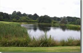 Five Oaks Trout Lake