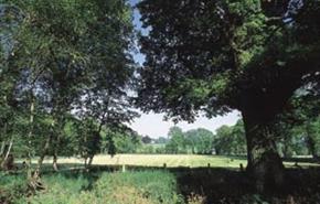 Flora Thompson walk