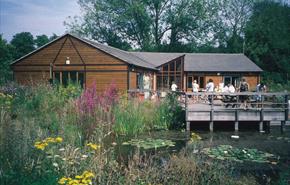 Hawthorns Wildlife Centre