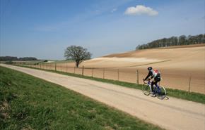 Sparsholt
