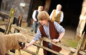 Manor Farm