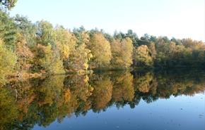Tateley Common
