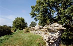 Roman Walls