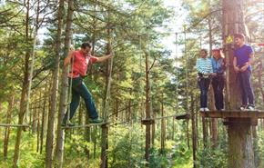 Go Ape in the South East