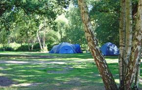 Wellington Country Park - Camping