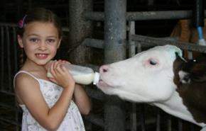 Longdown Activity Farm
