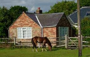 Thumbnail for Old Stables Cottage