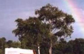 Thumbnail for Harrow Wood Farm Caravan Park