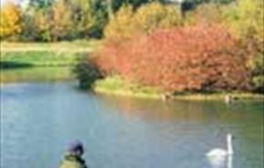 60 acres of lakes, meadow & young woodland.