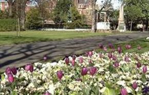 Flowers at Victoria Park