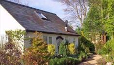 Duck's Nest B&B