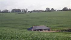 Dines Barn