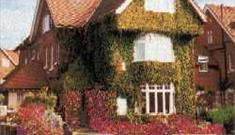 Bembell Court Frontage