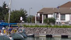 DOLPHINS OVERLOOKING HASLAR MARINA