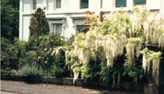 12 Christchurch Rd exterior