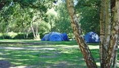 Wellington Country Park - Camping