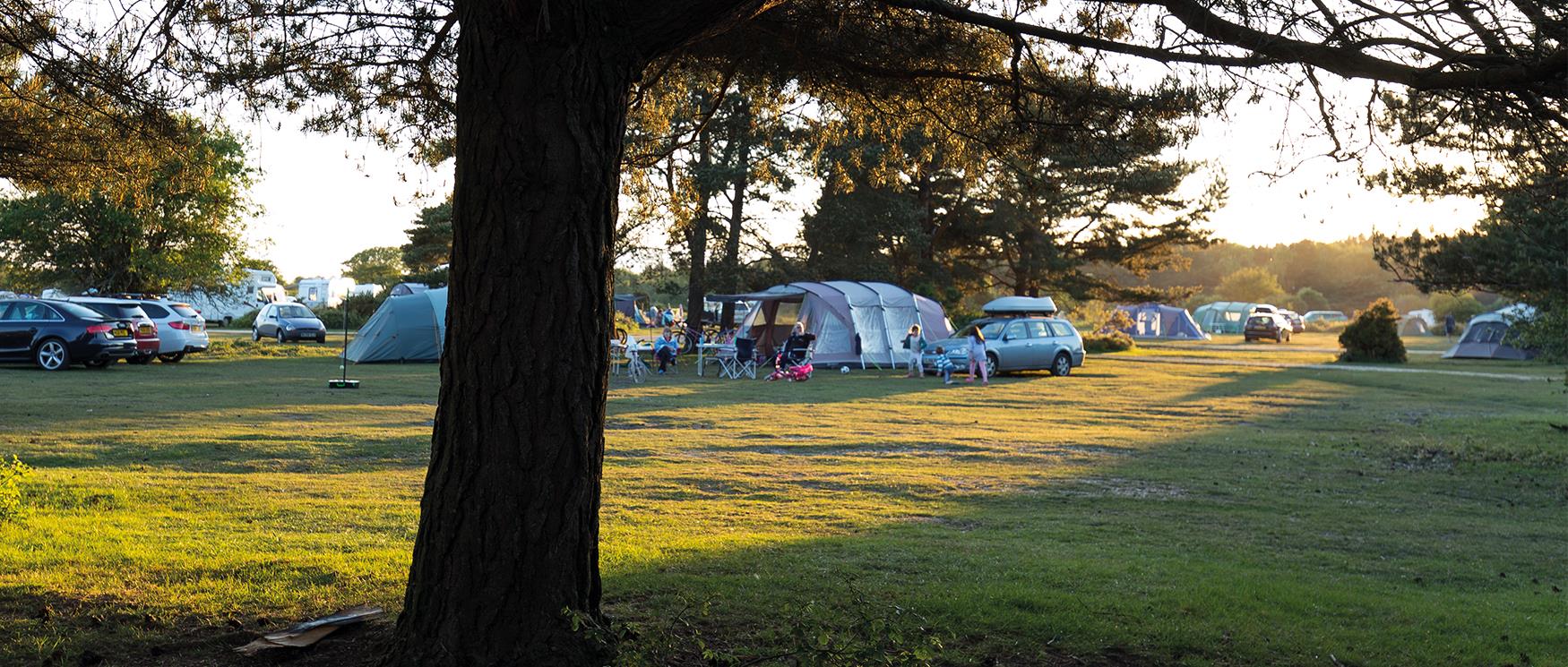 Campsite in the New Forest National Park