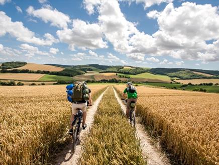 Cycle the South Downs Way