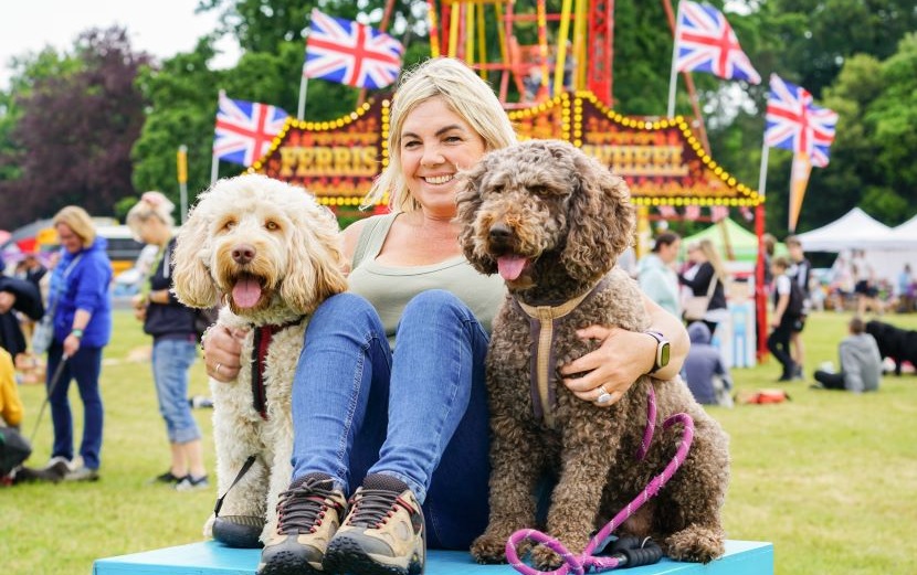 Dogstival