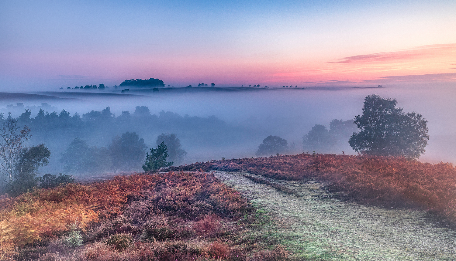 Image result for images of misty autumn morning in hampshire