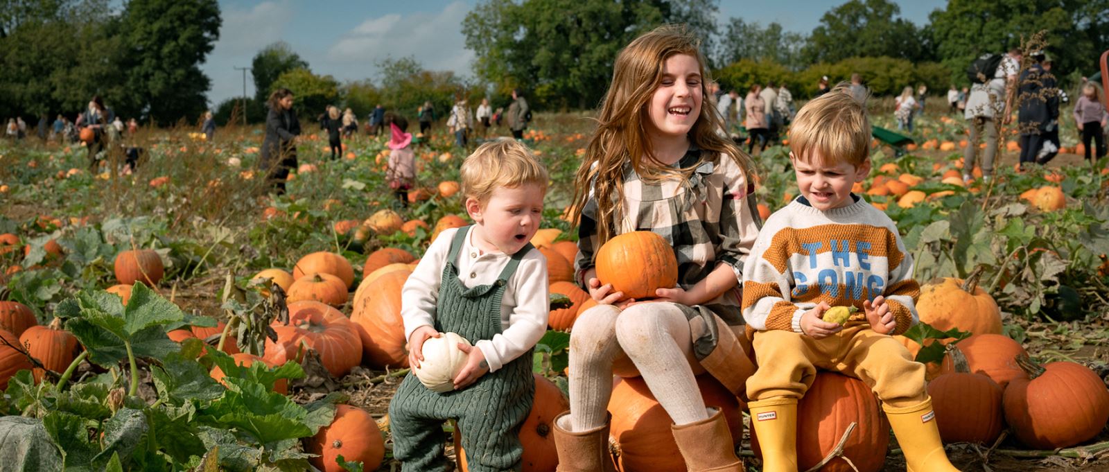 Win a family ticket to Rogate Pumpkin Patch