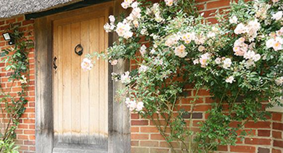 Thumbnail for Self Catering in The Test Valley