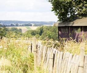 Feather Down - Manor Farm
