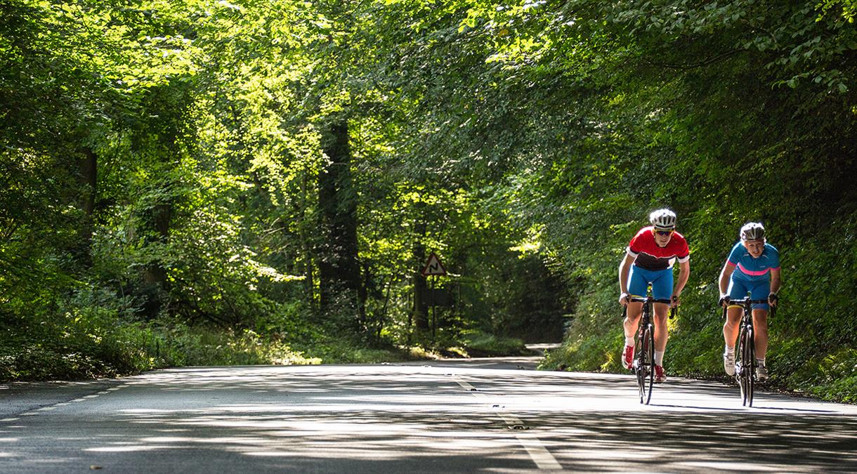 Road Cycling in Hampshire