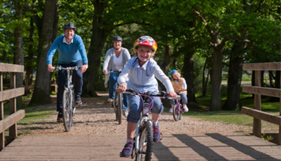 Brockenhurst to Rhinefield Arboretum Cycle Route